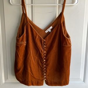 Madewell cropped gold velvet cami